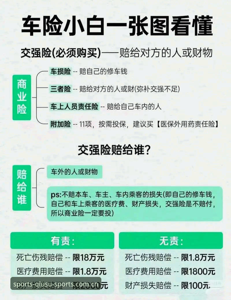 资深用户实测：2025球速体育APP下载手机版使用心得与登录避坑指南